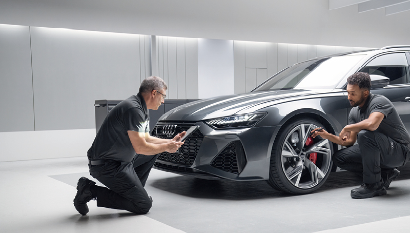 Audi Vehicle Grooming